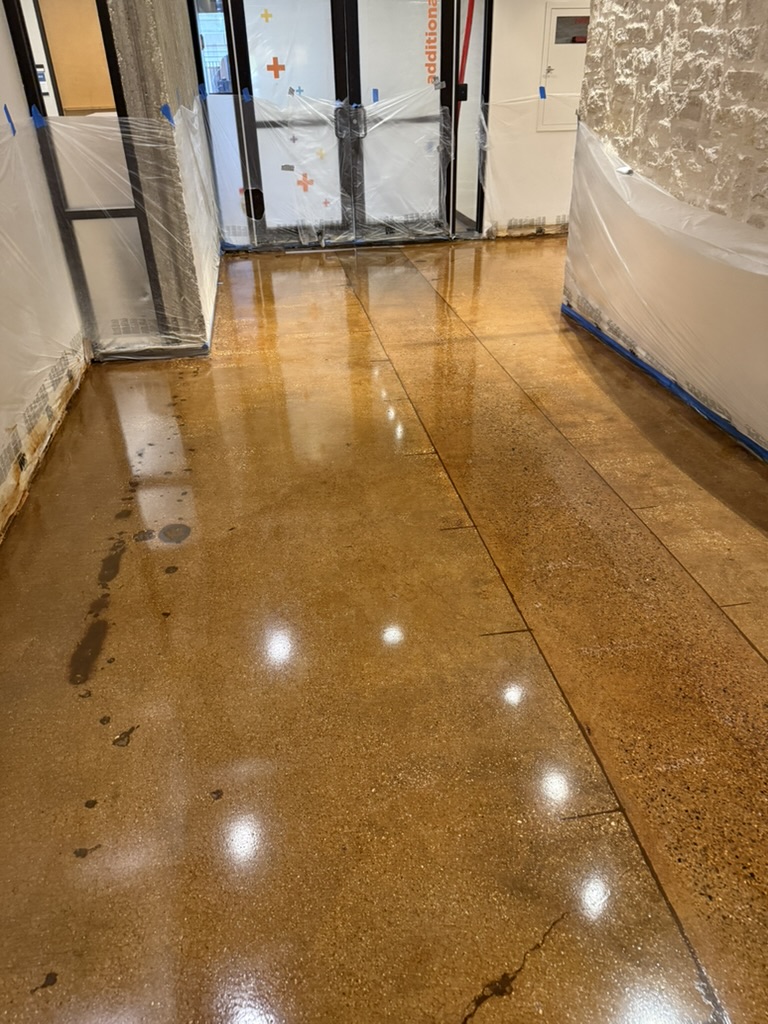 Polished floor emerging, with edges masked to protect adjacent finishes
